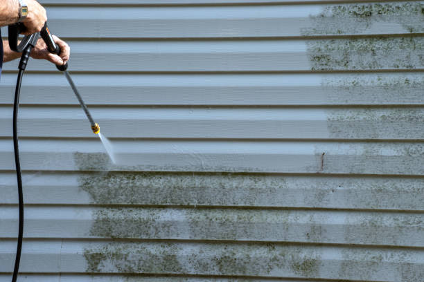 Best Engineered Wood Siding  in Grayson Vley, AL