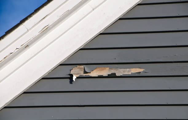 Best Fiber Cement Siding Installation  in Grayson Vley, AL